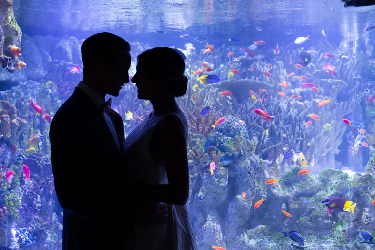 Newlyweds in front of fish tank